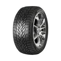 R20 245/45 103T XL Roadking ARGOS S500 Шип.